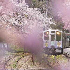 旅行的意义(TRAVEL IS MEANINGFUL)