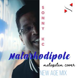 Malarkodipole