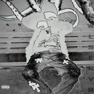 feel like i won the lotto