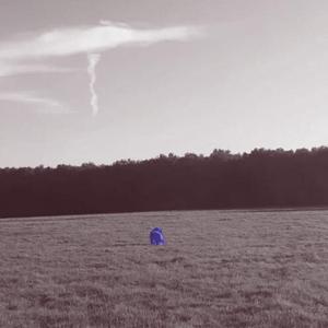 Les Cercles (version Chien Bleu)