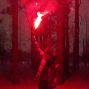 Первый снег