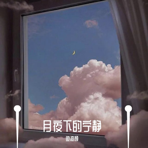 月夜下的宁静
