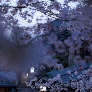 忽而今夏（翻自 汪苏泷）