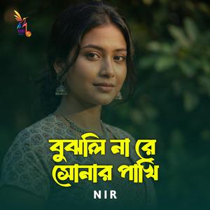 বুঝলি না রে সোনার পাখি