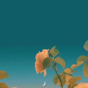 梦中花