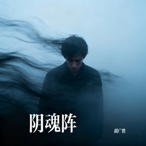 阴魂阵