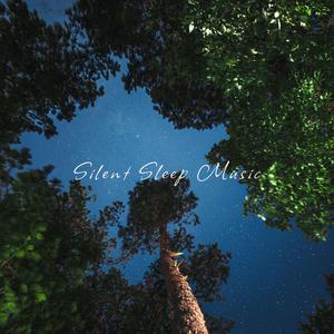 고요한 숲의 밤 인사