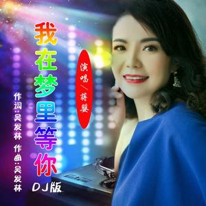 我在梦里等你（DJ版）