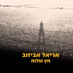 חץ שלוח