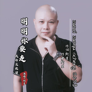 明明你要走我却没挽留