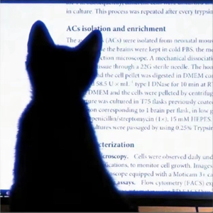 電 話 暫 時 無 法 接 通