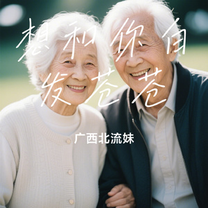 想和你白发苍苍