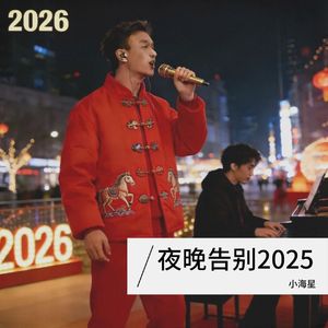 夜晚告别2025