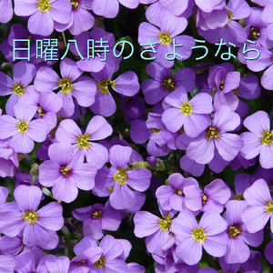 日曜八時のさようなら