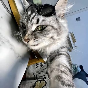 每一滴雨水都是你的来信