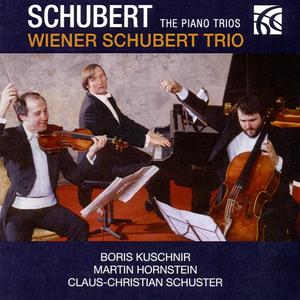 Trio Es-Dur, Op. 100 / D. 929: II. Scherzando, Allegro moderato