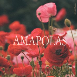 Amapolas