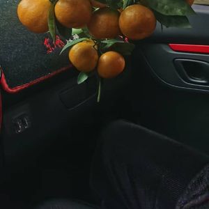 水墨丹青凤凰城