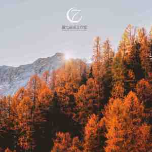 花断肠 (钢琴曲)