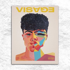 Visage