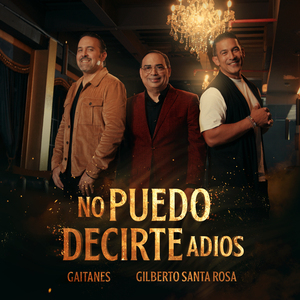 No Puedo Decirte Adiós