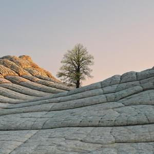 空城（清唱片段）