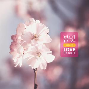 봄빛 비추는 날