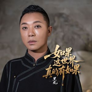 如果这世界真的有如果（流行版）