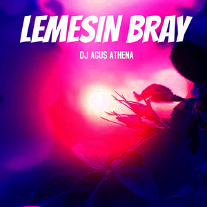 Lemesin Bray