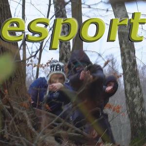 Esport (feat. Pikers & Okularnick)