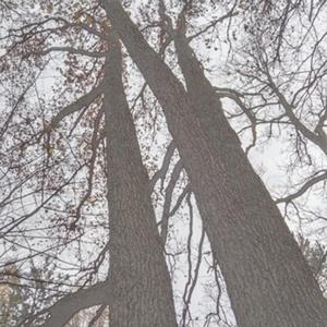 Znikniemy (feat. Kasia)