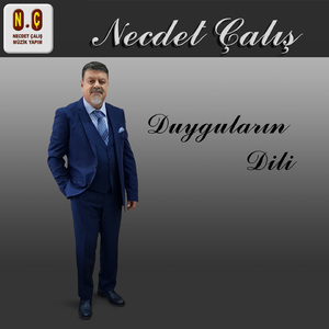 Ansızın Geliver Bir Akşam Üstü