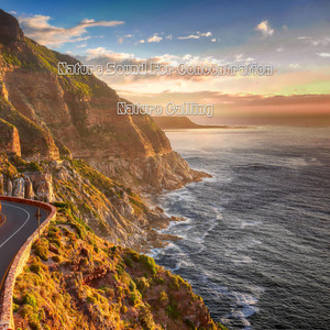 공부할 때 듣는 자연의 소리