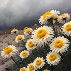 每逢佳节倍思亲-粤普3