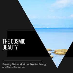 Nightforest Full of Bugs