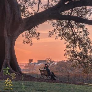 二零三（网易独家版）