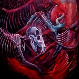 Darkness on the Earth