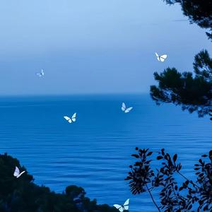 静默海域_320kbps