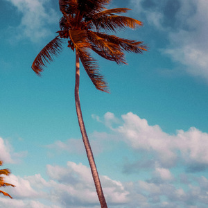 Messages In A Bottle