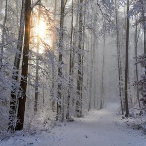 Starker Wintersturm