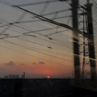 白鹤不会吻乌鸦.