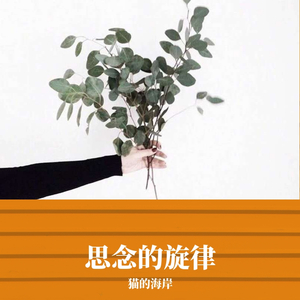 思念的旋律