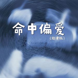 命中偏爱（旋律版）