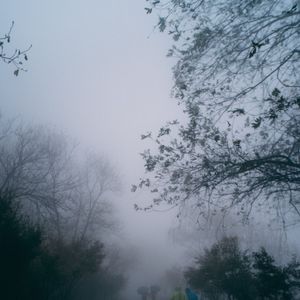 Las Estrellas De Arriba