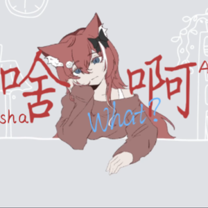 啥啊
