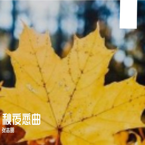 秋夜恋曲