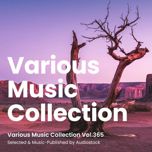 わくわく木琴日和