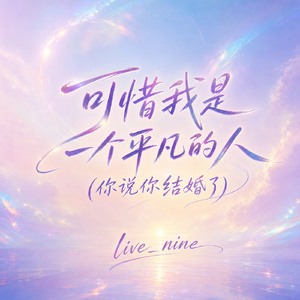 可惜我是一个平凡的人(你说你结婚了)