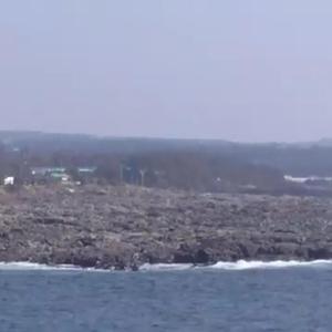 상처난 마음에도 꽃은피고