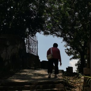潇潇洒洒朝前走